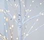 Lit Twinkling Twig White Birch Tree