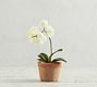 Mini Faux Orchid