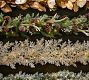 Faux Lit Shimmer Garland