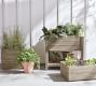 Indio Outdoor Outdoor Planters - Eucalyptus