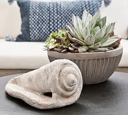 ﻿Handcrafted Terra Cotta Shell Garden Object