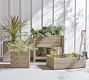 Indio Outdoor Outdoor Planters - Eucalyptus