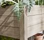 Indio Outdoor Outdoor Planters - Eucalyptus