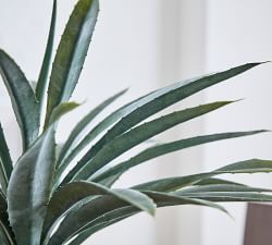 Faux Faded Striped Agave Plant