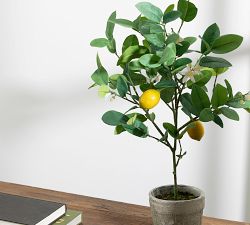 Faux Potted Lemon Topiary