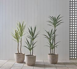 Faux Yucca Tree In Pot