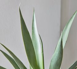 Faux Yucca Tree In Pot