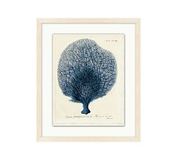 Navy Sea Fan Framed Print