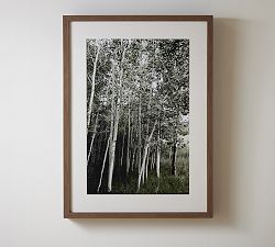 Aspen Grove by Tara Hogan