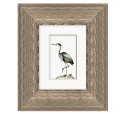 Coastal Heron Framed Prints