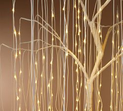 Lit Willow Tree