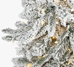 Lit Flocked Grand Northern Rocky Fir Artificial Christmas Tree