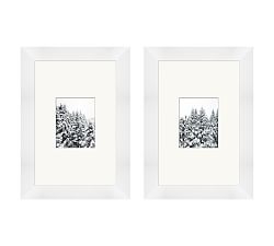 Snow Graced Pines Framed Prints