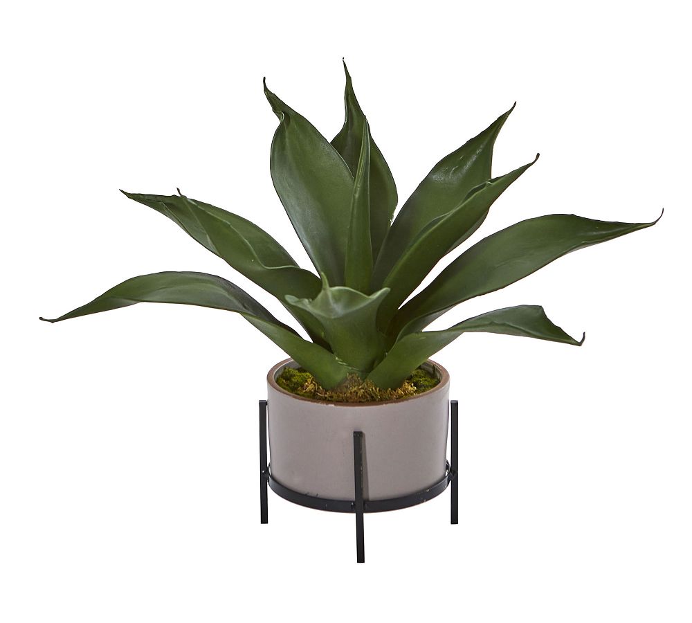 Faux Agave Succulent in Decorative Planter thumbnail 3