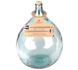 Glass Terrarium in a Bottle Starter Kit