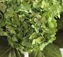 Faux Hydrangea Bundle
