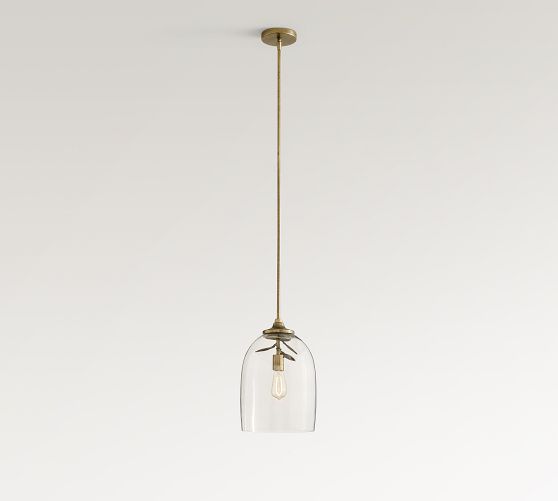 Botanical Glass Cloche Pendant (11") by Pottery Barn