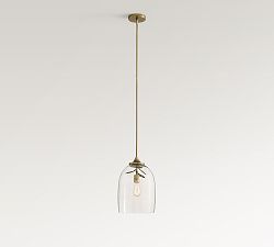 Botanical Glass Cloche Pendant (11")