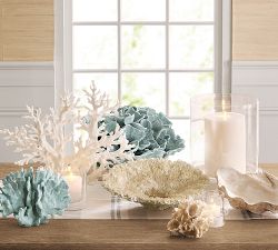 Faux Coral Collection