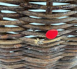 Open Box: Handwoven Vine Tree Collar - Natural