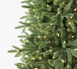 Tree Classics by Balsam Hill Kennedy Fir Faux Christmas Tree