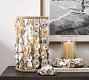 Oyster Shell Hurricane Candle Holder