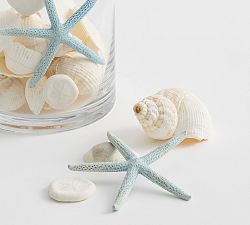 Blue &amp; White Mixed Shell Vase Filler