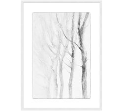 A Winter Perspective Framed Print