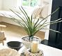 Faux Potted Draping Succulent