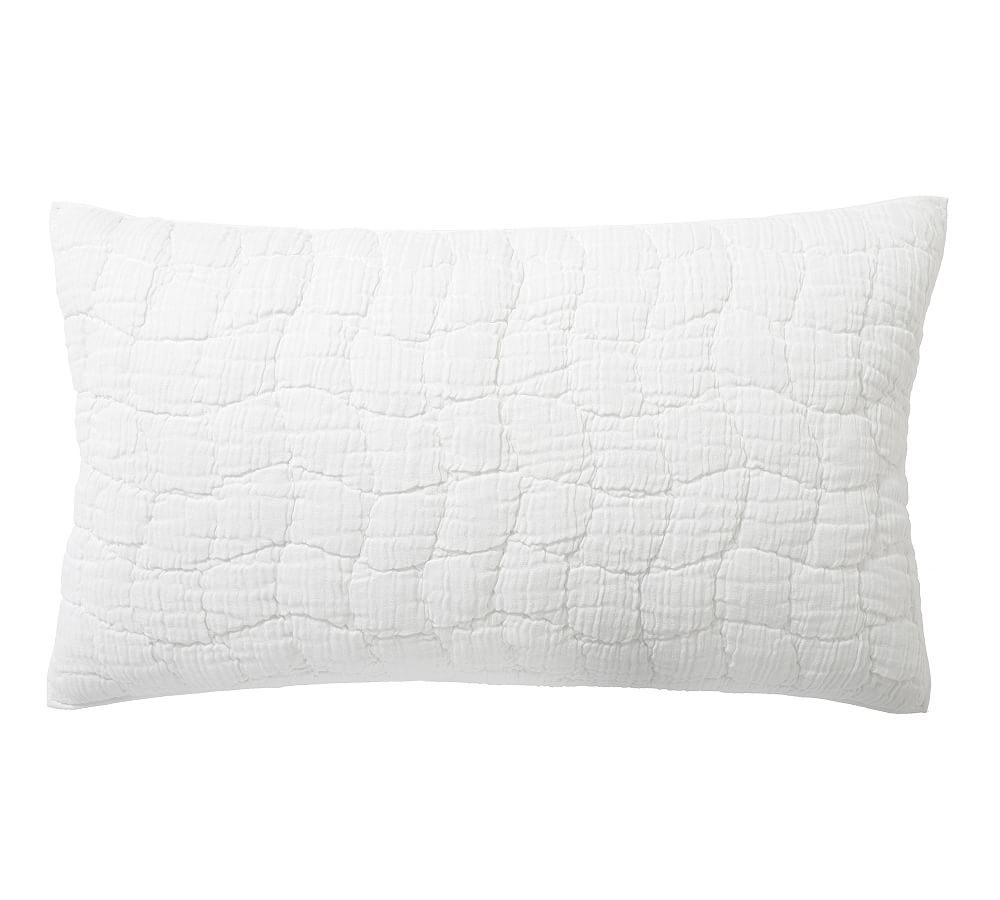 Pottery Barn Cloud Quilted Sham - White, King