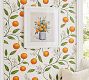 Mark D. Sikes Citrus Garden