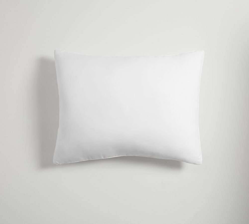 Pillow Insert - Set of 2 - White, Standard