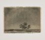 Tiny Landscapes by Chelsea Fly