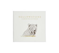 Yellowstone A Land of Wild &amp; Wonder Leather-Bound Book