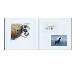 Yellowstone A Land of Wild &amp; Wonder Leather-Bound Book