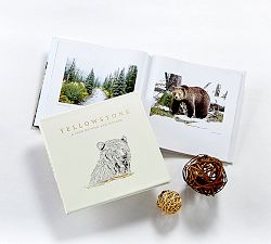 Yellowstone A Land of Wild &amp; Wonder Leather-Bound Book