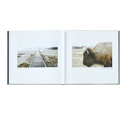 Yellowstone A Land of Wild &amp; Wonder Leather-Bound Book