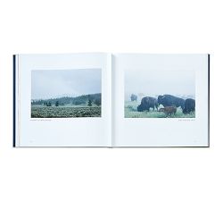 Yellowstone A Land of Wild &amp; Wonder Leather-Bound Book