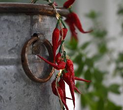 Chili Pepper String Lights