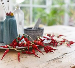 Chili Pepper String Lights