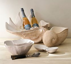 Shell Party Bucket Collection