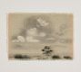 Tiny Landscapes by Chelsea Fly