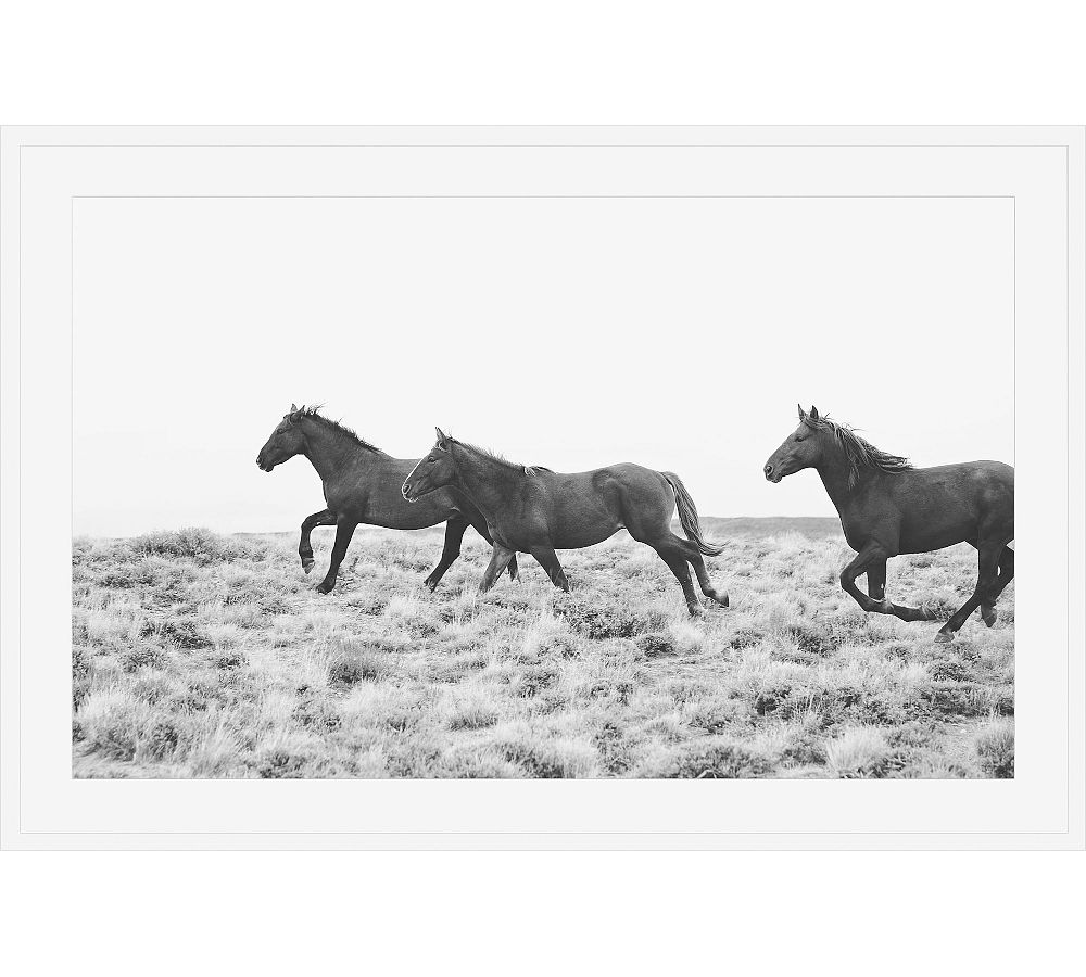 American Wild Horses by Jennifer Meyers - 42 x 28, Wood Gallery, White, Mat