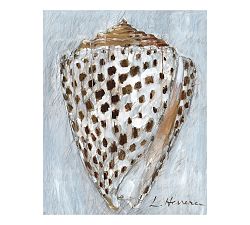 Open Box: Shell Study #2 Canvas Print by Lauren Herrera, 26" x 32"