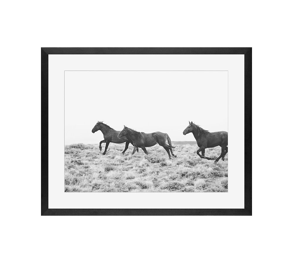 American Wild Horses by Jennifer Meyers - 20 x 16, Wood Gallery, Black, Mat