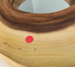 Open Box: Arbor One-of-a-Kind Wall Decor (12" Diam) - Natural