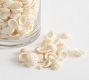 Mini Shell Vase Filler