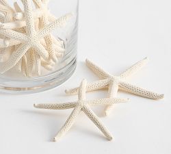 Starfish Vase Filler