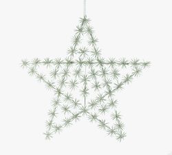 Lit Twinkling Cluster Star