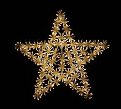 Lit Twinkling Cluster Star